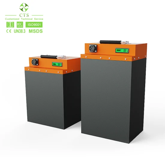 Caricabatteria ricaricabile 96V 60V 72V 10Ah 15Ah 20Ah 25Ah 30Ah 40Ah 50Ah 60Ah LiFePO4 Batteria per veicoli elettrici/Batteria agli ioni di litio