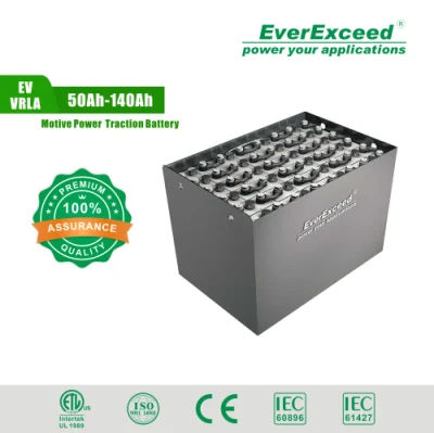 Everexceed Batteria di trazione tubolare allagata ricaricabile per camion/carrello elevatore/veicolo/azionamento elettrico 2pzb/3pzb/4pzb/5pzb/6pzb/7pzb/8pzb/9pzb/10pzb/2-13pzs/Csv